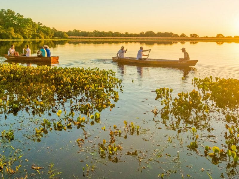 A Guide to Visiting Brazils Pantanal